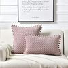 Minicloss Kissenbezüge 2er Set Kissenbezüge Kissenhülle Dekokissen Sofakissen, Couchkissen Dekokissen Zierkissenbezug Deko Kissenhüllen Wohnzimmer Bild 3