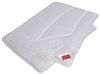 Hefel Naturfaserbettdecke Klimacontrol Fair, Füllung: 100% TENCEL™, Viskose (Lyocell), Bezug: Baumwolle (Bio), Ganzjahresbettdecke Bild 4