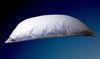 Hofmann Franken Winter Oberbett Daunenbett Ballonbett 155x220 cm, 100% Daunen, 2000g Bild 3