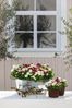 Dehner Blumentopf Pflanztöpfchen, Ø 37 cm, Höhe 15 cm, verzinkt Bild 2