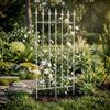 Rankgitter FREYA 2er Set - 50 x 0,7 x 100 cm, Metall, Antik-Weiß | Rankhilfe Kletterpflanzen Gartendekoration Bild 3
