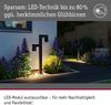 Paulmann 94825 LED Pollerleuchte Kimu 2-flammig insektenfreundlich IP44 2200K Bild 2