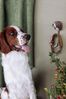 Wildlife Garden Kleiderhaken DecoHook Springer Spaniel Braun WG4497 Bild 3
