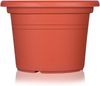 BigDean 6X Blumentopf Ø 25 cm Farbe Terrakotta Kunststoff Pflanztopf Containertopf Übertopf Pflanzkübel rund 25 x 18 cm Bild 2