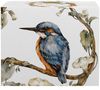 DUO World of Birds Becher 650 ml COMMON KINGFISHER (Eisvogel) New Bone China Porzellan Bild 3