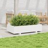 vidaXL Pflanzkübel Weiß 110x60x26,5 cm Massivholz Kiefer 847349 Bild 3