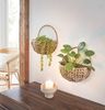Wandpflanzer Wasserhyazinthe Blumenkasten Pflanzkorb Pflanzschale Blumentopf Bild 5