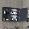 Roomart ADA Badmöbel – nur Spiegelschrank - H 45 x B 16 x T 60 cm • Anthrazit Bild 2