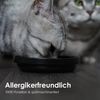 LucyBalu Futternapf LucyBalu Futternapf für Katzen »BOWL - Schalen aus Porzellan« 2er Set, Porzellan, ∅ 14 cm Bild 4