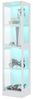 REDOM Vitrine Glas Sammlungsvitrine Transparent (LED, 4 Etagen Stauraum, Push-to-Open Tür, 1-St, 40 x 35 x 170 cm) Bild 2