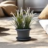 "Basic" 30cm Anthrazit mit Untersetzer 4er SET Bild 4