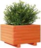vidaXL Pflanzkübel Wachsbraun 40x40x26,5 cm Massivholz Kiefer 847290 Bild 4