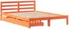 vidaXL Massivholzbett ohne Matratze Wachsbraun 120x190 cm Kiefernholz 3301552 Bild 3