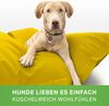 Green Bean® Hundebett für mittlere & große Hunde 140x180 cm Hundekissen - Gelb Bild 5