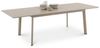 IDIMEX Gartentisch VERANO, Outdoor Tisch ausziehbar 180-260cm, Terrassen Tisch aus Alu champagner Bild 5