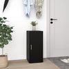 vidaXL Schuhschränke 2 Stk. Schwarz 32x35x70 cm Holzwerkstoff 808957 Bild 4