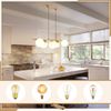ZMH Pendelleuchte Esstisch Hängeleuchte Modern - E27 Glas Hängelampe Gold Esszimmerlampe 150CM Höhenverstellbar Vintage Esstischlampe für Esszimmer Wohnzimmer Bartheke I ohne Leuchtmittel Bild 5
