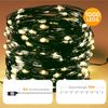 SALCAR 100M 1000 LED Lichterkette aus Kupferdraht Bild 2