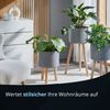 KHG Blumentopf Pflanzkübel Grau 28 cm Durchmesser | Pflanzenständer im Scandi Look Höhe 67 cm | Übertopf aus Metall wasserfest mit Holzbeinen, ideal für Wohnräume & Büro Bild 3