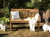 Gartenbank VIVARA 120 cm Zertifiziertes Akazienholz Heller Holzfarbton Bild 3