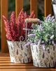 Pflanztopf-Doppel PROVENCE Metall 26x13x10/22 cm – Landhausstil, 2 Töpfe Ø 13 x H 10 cm, dekorativ, langlebig & pflegeleicht für Kräuter & Blumen Bild 4