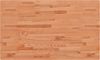 vidaXL Waschtischplatte 100x60x1,5 cm Massivholz Buche 356000 Bild 2
