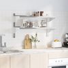 vidaXL Wandregal mit 2 Böden 100x40x60 cm Silbern Edelstahl 30309 Bild 3