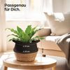 Praknu Aufbewahrungskorb Seegras Korb Klein - Übertopf für Pflanzen - Boho Pflanzkorb Dekokörbe (1 St), Dekokorb für Zimmerpflanzen - Blumentopf aus Seegras und Baumwolle Bild 2