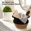Praknu Aufbewahrungskorb Seegras Korb Klein - Übertopf für Pflanzen - Boho Pflanzkorb Dekokörbe (1 St), Dekokorb für Zimmerpflanzen - Blumentopf aus Seegras und Baumwolle Bild 3