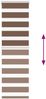 vidaXL Doppelrollo Braun 50x150 cm Stoffbreite 45,9 cm Polyester 4014329 Bild 5