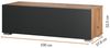 Planetmöbel Garderobenschrank Flur Möbel Garderobe 100 cm (ohne Spiegel) (Kompaktgarderobe mit Klappe als Stauraum, Hängeschrank 100 cm Gold Eiche / Anthrazit) Wandgarderobe (ohne Spiegel) Bild 2