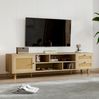 TV-Schrank, 160x39x40,5 cm, TV-Schrank in Eichenoptik mit Rattanfronten, 2 Schubladen & 1 Tür Bild 3