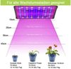 Jibenhome Pflanzenlampe Wachstumslampe,Vollspektr UV+IR/Sonnenlicht Grow Lamp,An-/Aus-Schalter, Vollspektrum A-256 LEDs, für Zimmerpflanzen,Gemüse und Blumen Bild 3