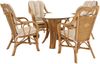 Krines Home Sitzgruppe Rattangruppe Wintergartenset Wintergarten Natur Rattanset Rattanmöbel, (für 4 Personen, 5-teilig) Bild 1