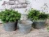 Chic Antique - 3er Set Blumentopf Pflanztopf mit Griff D13/15/17,5cm 65084800 Bild 2