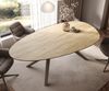 Esstisch Edge Oval 220x120 Keramik Laminam® Sabbia Eichefarbig Zenthara kantig Metall Effektfinish Titan Bild 4
