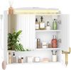 Spiegelschrank Bad mit Beleuchtung, Badezimmerschrank mit Spiegel, Wandschrank, Haartrockner-Halter und Haken, mit Stecker, Verstellbarer Etagen, Weiß, 16,5 x 70 x 75 cm Bild 2