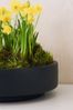 VIVANNO Pflanzschale Fiberglas ESCADA LOW Schale - Anthrazit Matt (1 St), 45 x 45 x 12 cm Bild 4