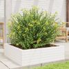 vidaXL Pflanzkübel Weiß 80x80x23 cm Massivholz Kiefer 847199 Bild 3