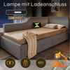 HAUSS SPOLE Schlafsofa 90x200cm mit hydraulischem Stauraum, Leselicht, Ladefunktion, Grau Bild 2