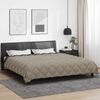 vidaXL Winterbettdecke Hellgrau und Anthrazit 220 x 260 cm Mikrofaser 42025762 Bild 4