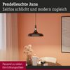 Pendelleuchte Juna E27 max. 20W Schwarz matt, Champagner dimmbar Metall Bild 2