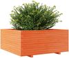 vidaXL Pflanzkübel Wachsbraun 110x110x49,5 cm Massivholz Kiefer 3282546 Bild 4