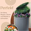 GarPet Pflanzkübel 2er Set Pflanz Kübel Halbrund Groß Outdoor Blumen Kasten Außen 50 Grau Bild 3