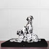 ALICE VISCO Orthopädische Hundematratze, Polyester creme, 80 x 60 cm Bild 4