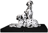 ALICE VISCO Orthopädische Hundematratze, Polyester creme, 80 x 60 cm Bild 2