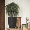 Capi Blumentopf Nature Rib Elegant Niedrig 46 x 58 cm Schwarz KBLR783 424224 Bild 4