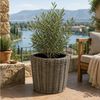 Van der Leeden Blumentopf Blumenkorb Blumentopf Pflanzkübel Rattan Weide Sylter Korb Drypot (1 St), 45x47 cm, Rattan, 33 L, Naturprodukt, incl. Kunststoffeimer Bild 1