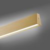 Paul Neuhaus 2570-60 PURE E-MOTION LED Pendelleuchte messing matt höhenverstellbar Bild 4