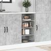 vidaXL Unterschrank Riga Betongrau 40x44,5x81,5 cm Holzwerkstoff 854205 Bild 3